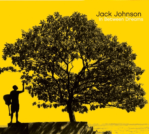 Cover of 'In Between Dreams' - Jack Johnson